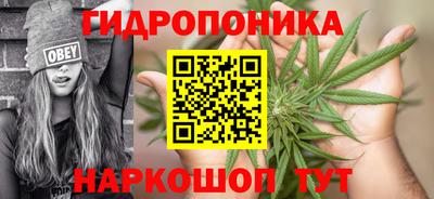 прущие крисы Ипатово