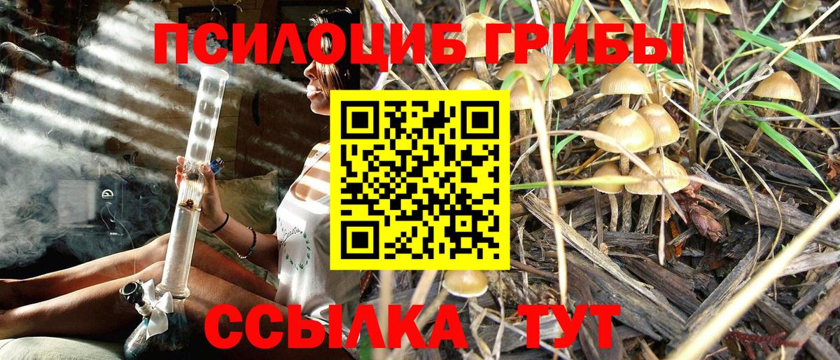 Галлюциногенные грибы Magic Shrooms  Вход с VPN  Кулебаки 